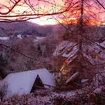 Апартаменты Gibbesbachhof Black Forest Триберг