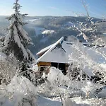 Апартаменты Gibbesbachhof Black Forest Триберг