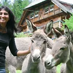 Gibbesbachhof Black Forest Апартаменты