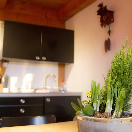 Ferienwohungen Gibbesbachhof * Triberg im Schwarzwald