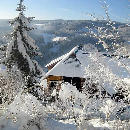 Lejlighed Gibbesbachhof Nature Lodge Triberg im Schwarzwald