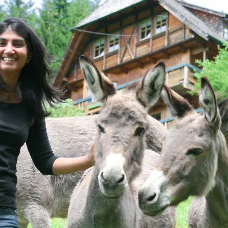 Ferienwohungen Gibbesbachhof Lägenhet