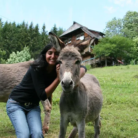 Ferienwohungen Gibbesbachhof Lägenhet *