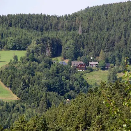 Apartment Gibbesbachhof Black Forest